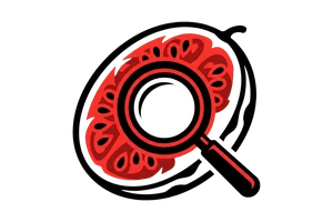 凯发app - 吃瓜社Logo